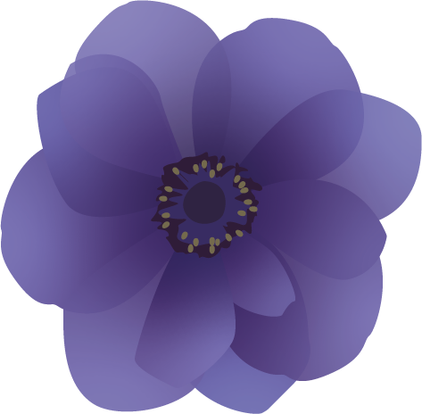 selbstgebaute Anemone